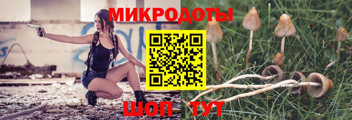 Дмитров  Псилоцибиновые грибы Cubensis  Вход с VPN 