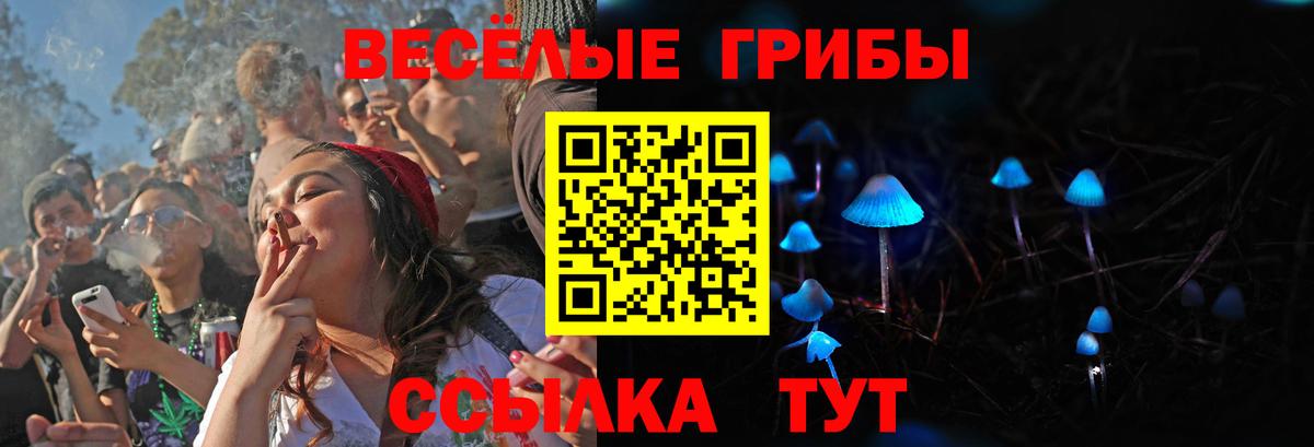 Галлюциногенные грибы Psilocybe Дмитров